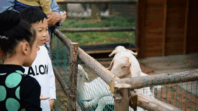 640 (13).gif 640 (13).gif