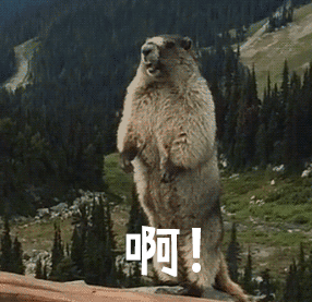 640 (8).gif 640 (8).gif