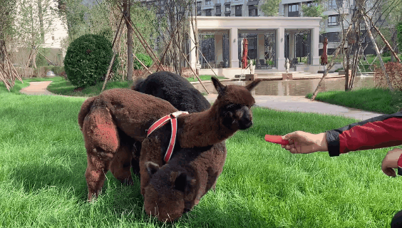 640 (11).gif 640 (11).gif