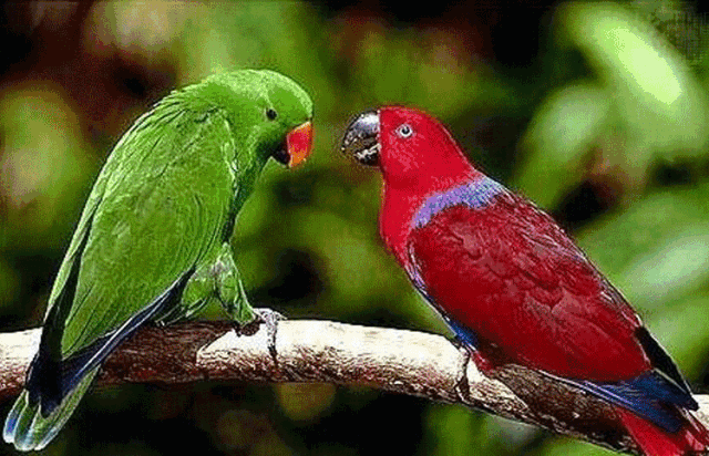 640 (7).gif 640 (7).gif