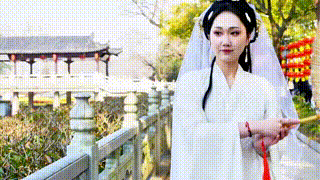 640.gif