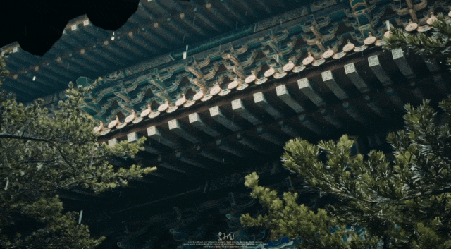 22.gif 22.gif